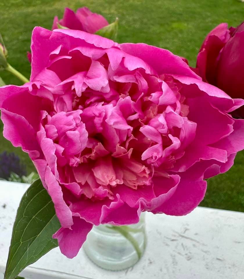 Wild whimsical bouquet by Front Porch Flowers