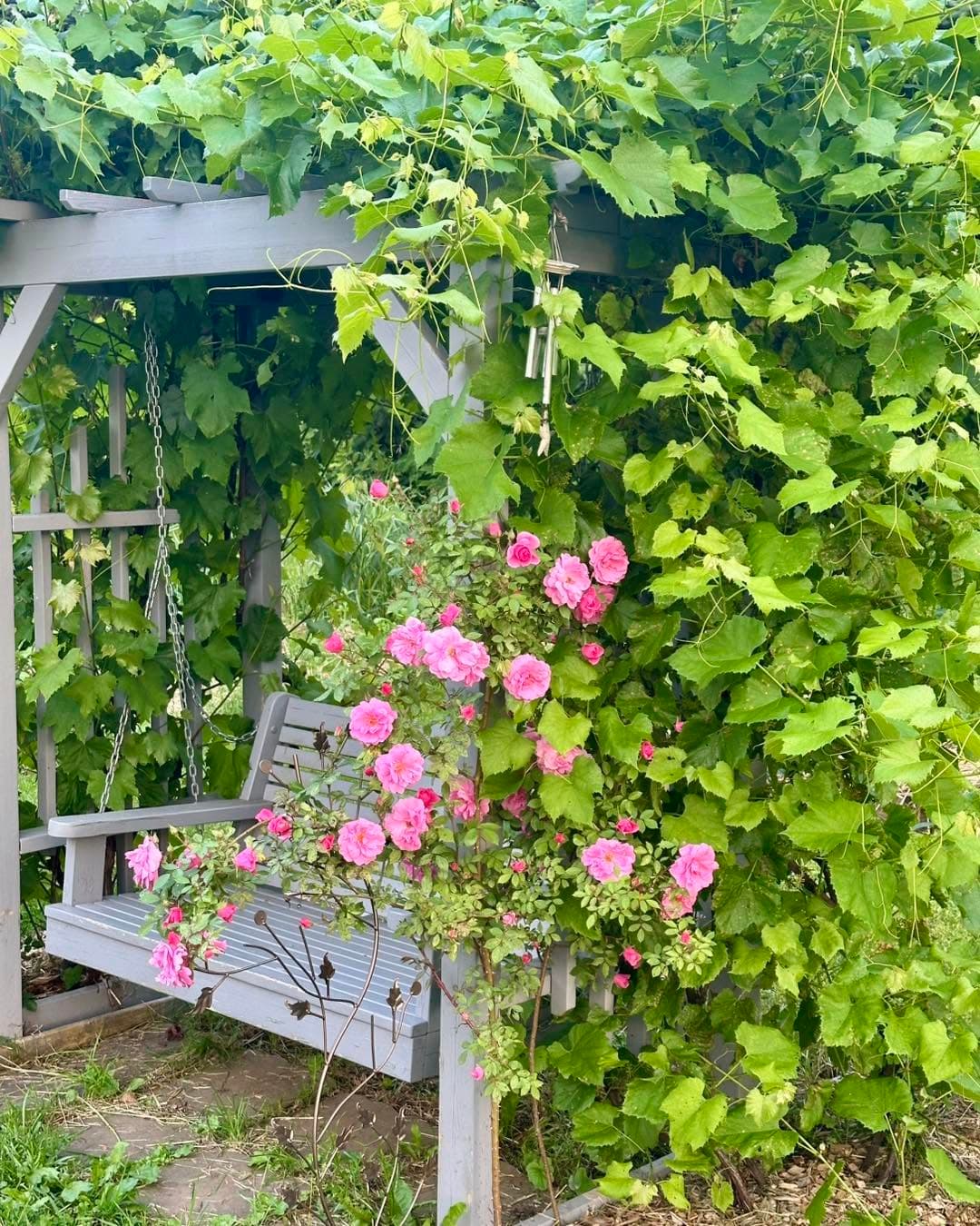 Backyard garden flowers at Front Porch Flowers