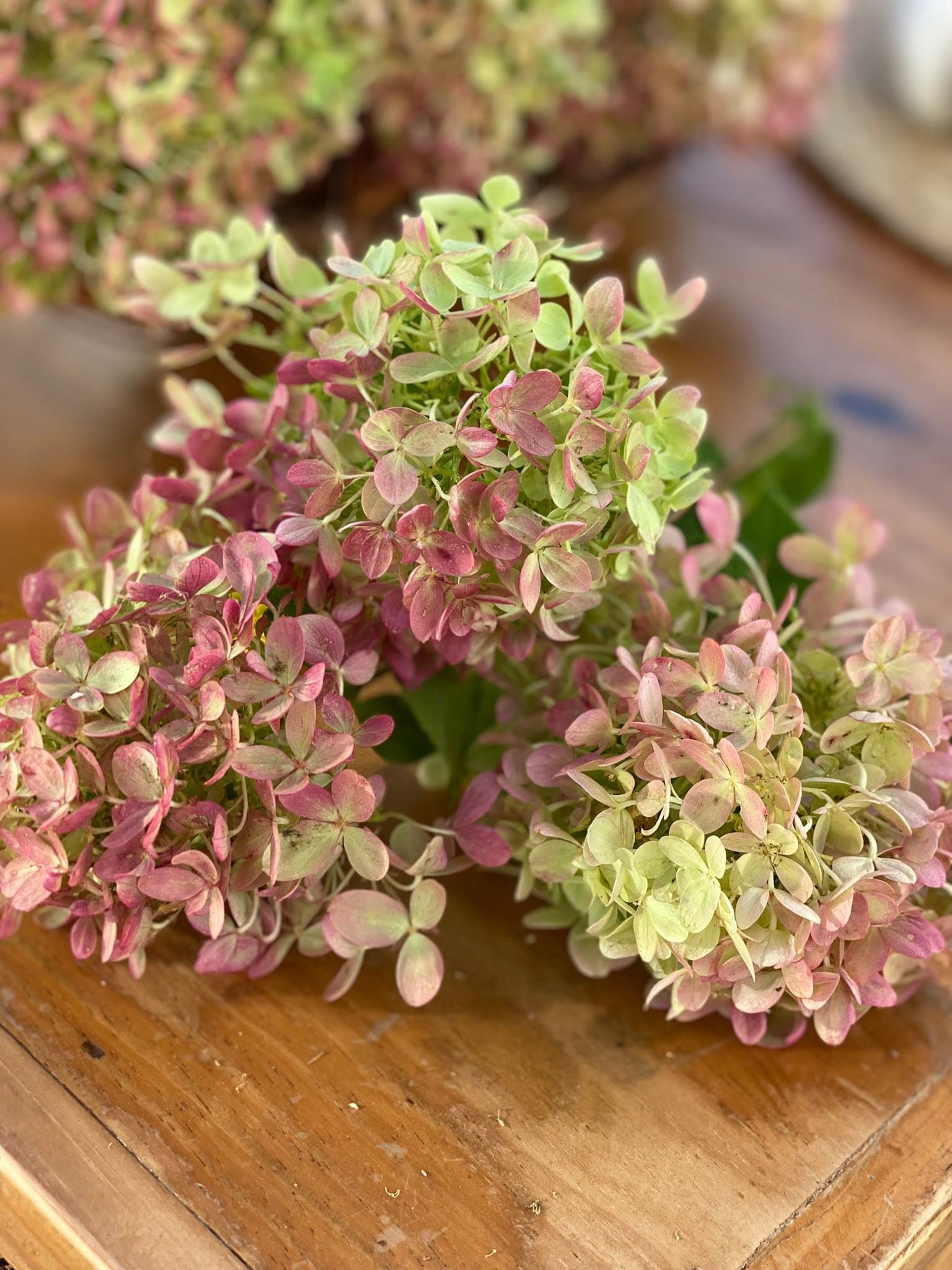 Hydrangea wreath workshop at Front Porch Flowers